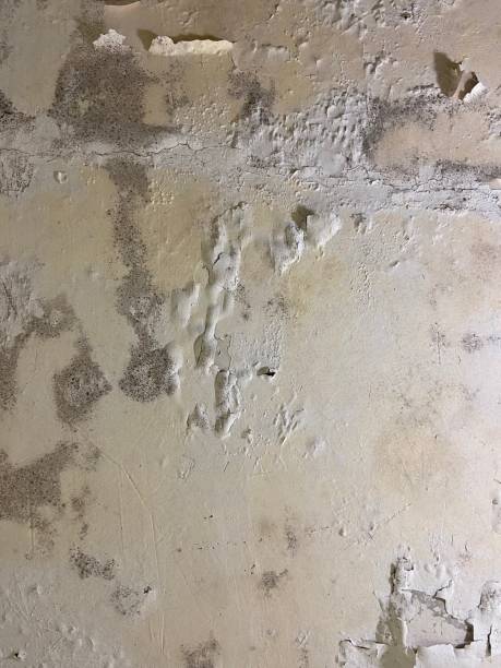 Water Damage Restoration in Trucksville, PA